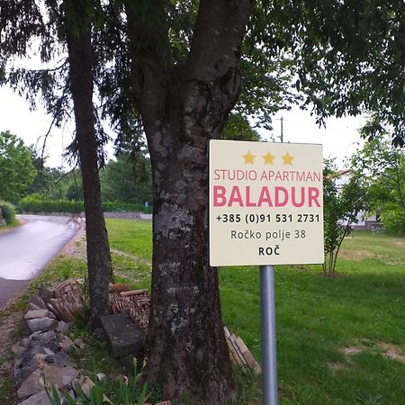 Apartman Studio Baladur Roč Zewnętrze zdjęcie